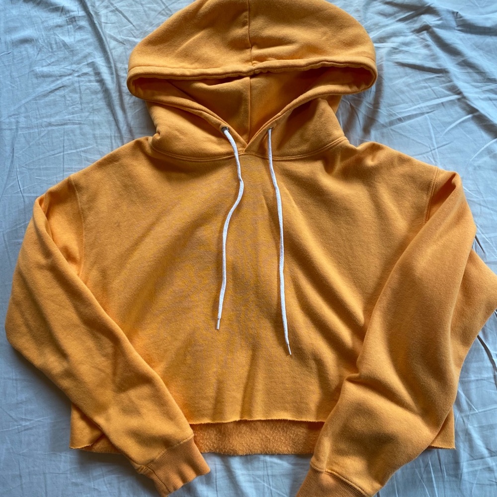 Wild Fable Cropped Hoodie